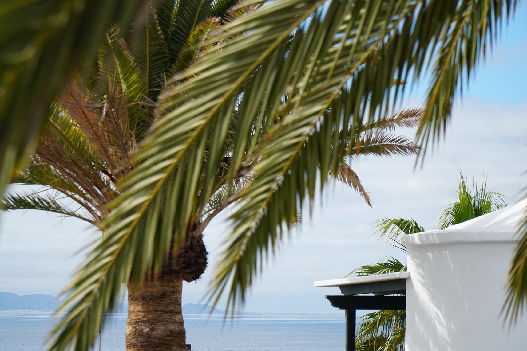 Barcarola Club Lejlighed Puerto del Carmen  Eksteriør billede
